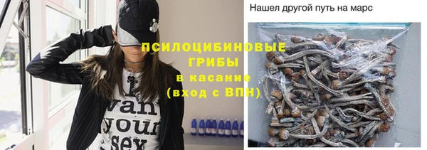 хмурый Бронницы