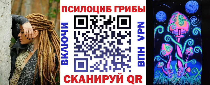 Галлюциногенные грибы Psilocybe Кодинск